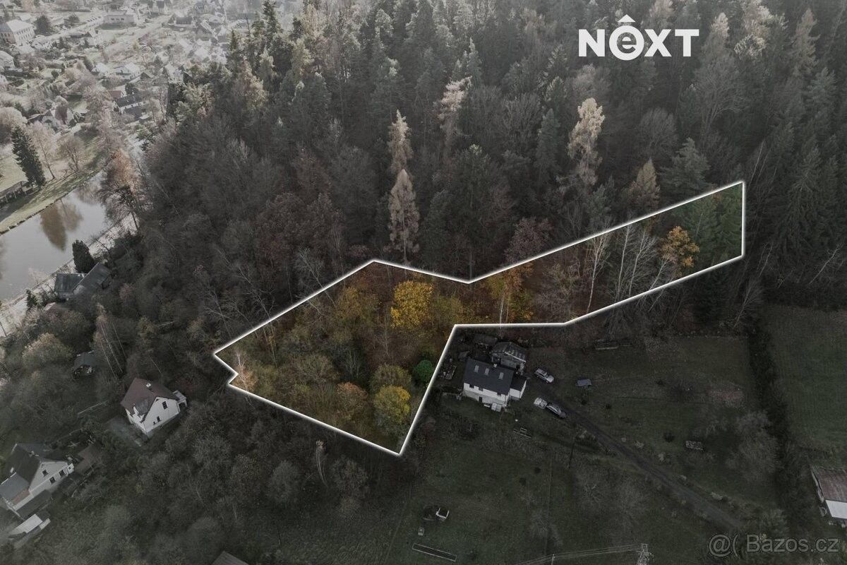 Prodej pozemek pro bydlení - Železný Brod, 468 22