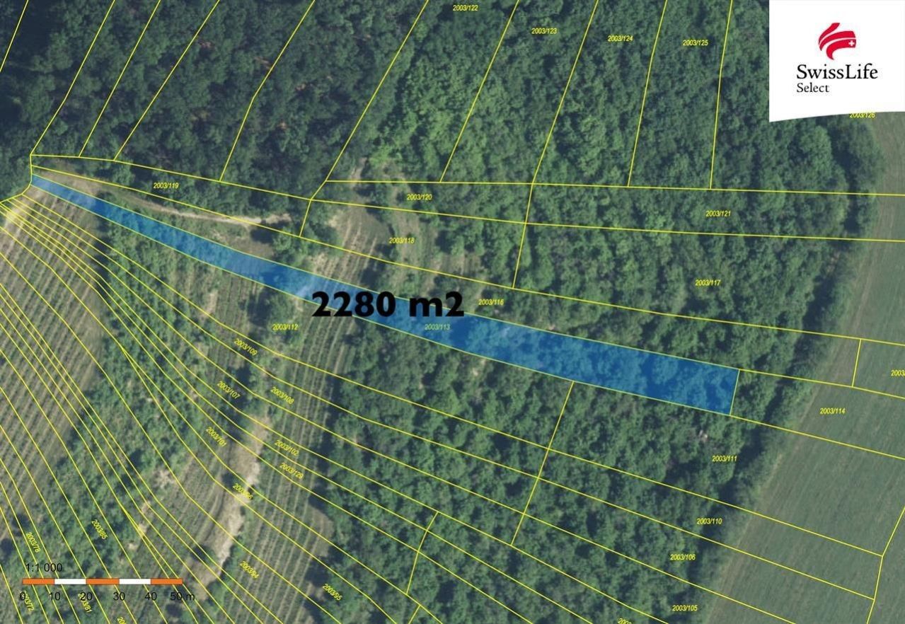 Prodej komerční pozemek - Brumovice, 3 m²