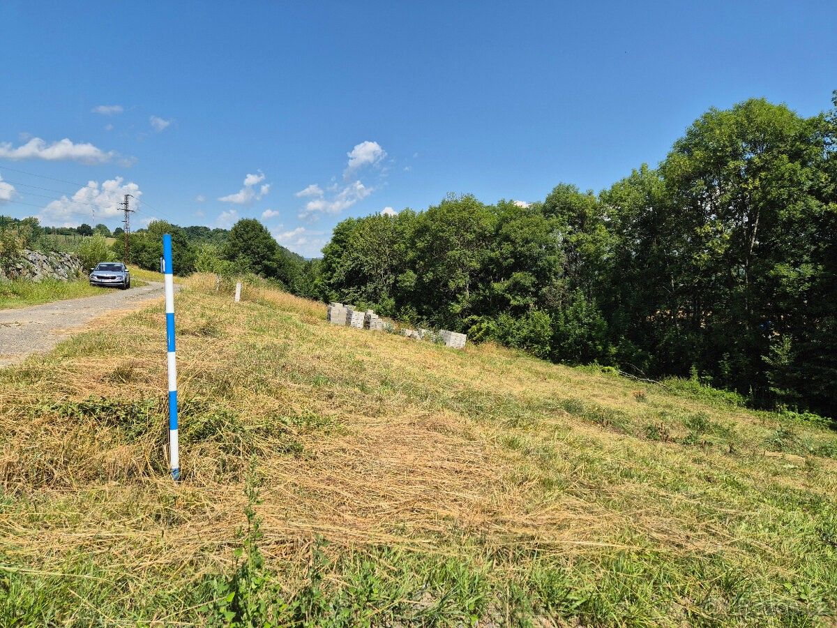 Pozemky pro bydlení, Zábřeh, 789 01