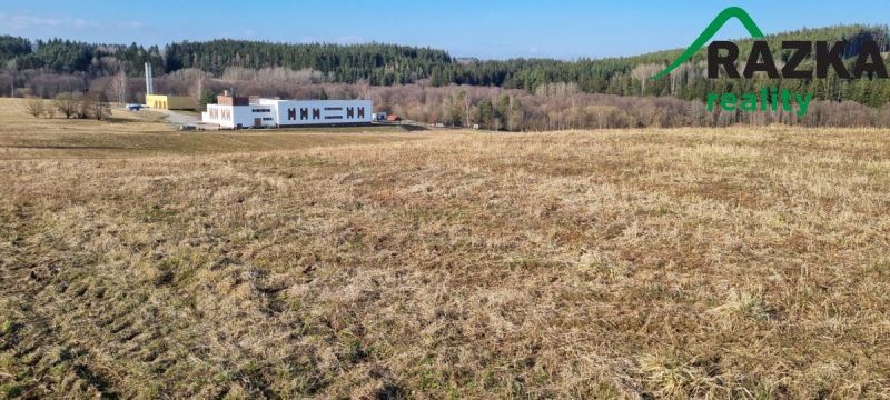 Prodej pozemek pro bydlení - Tachov, 347 01