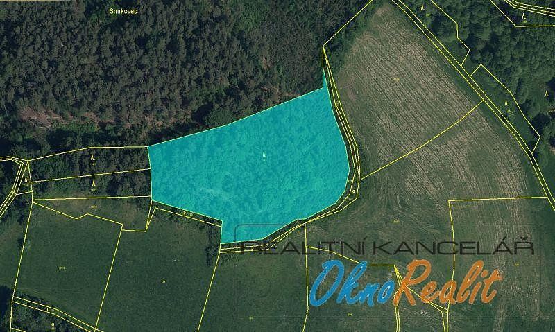 Lesy, Branžež, okres Mladá Boleslav, Středočeský kraj - 1