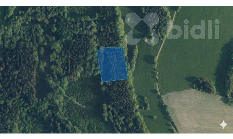 Prodej les - Návarov, Zlatá Olešnice