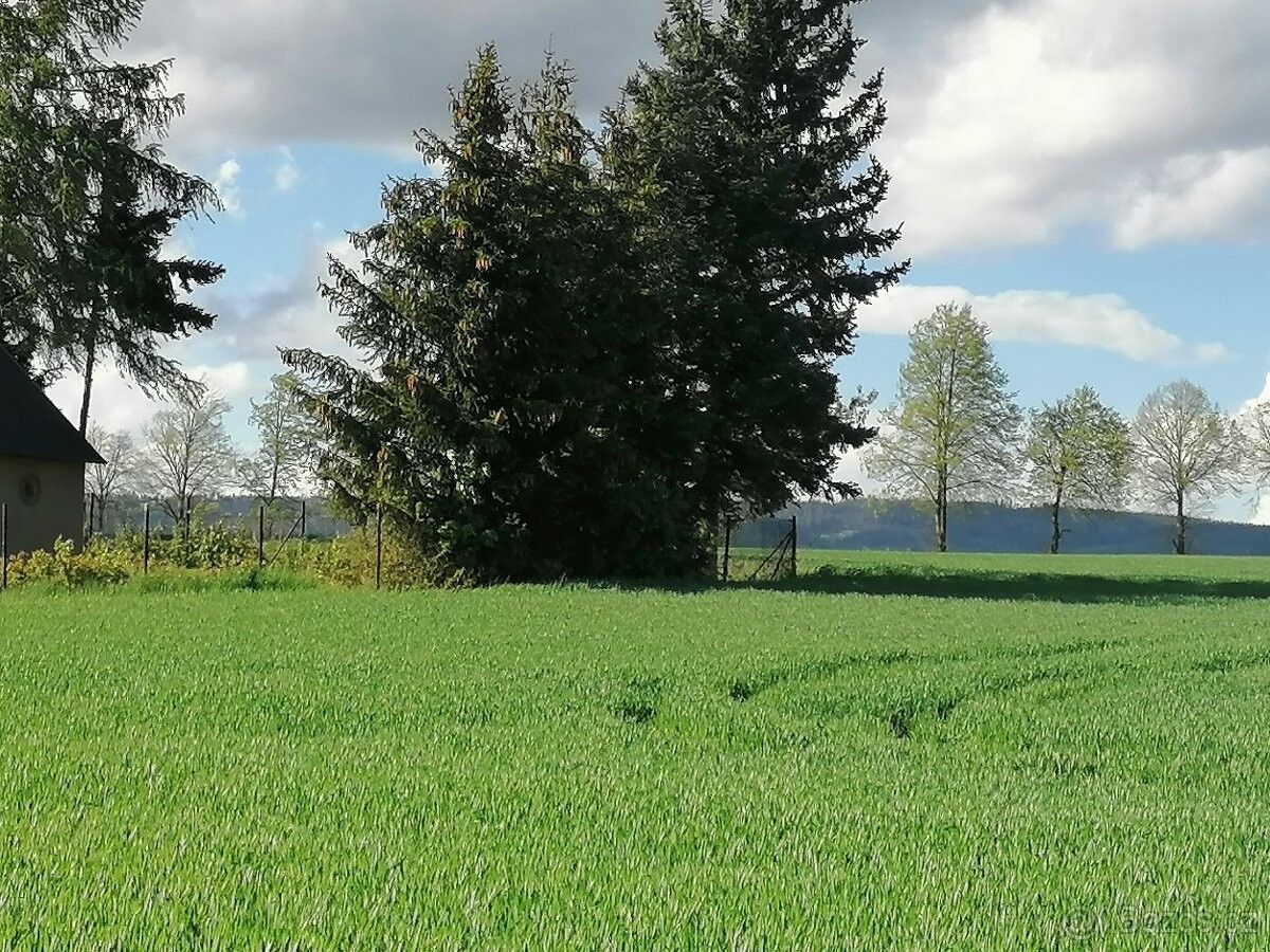 Prodej pozemek pro bydlení - Rožmitál pod Třemšínem, 262 42 - 5