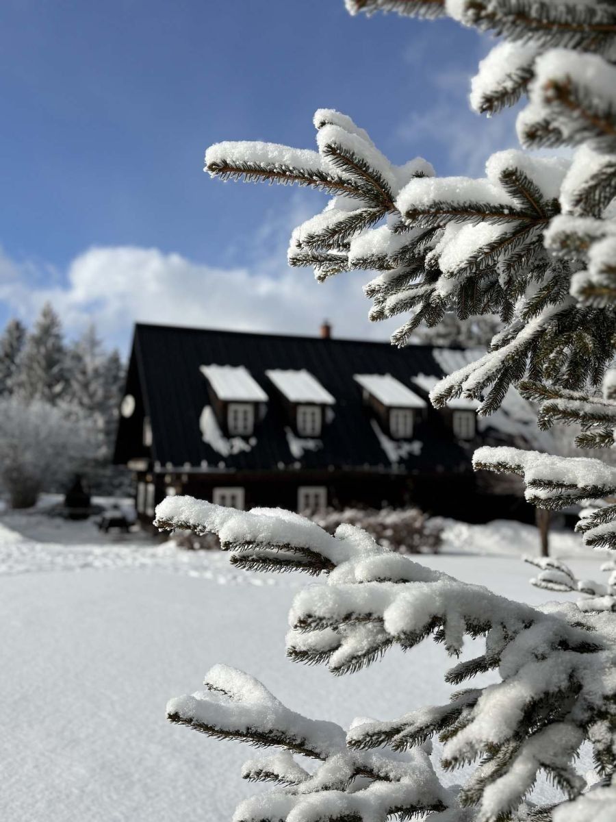 Chata · Deštné v Orlických horách - Jedlová v Orlických horách, Královéhradecký kraj - 3