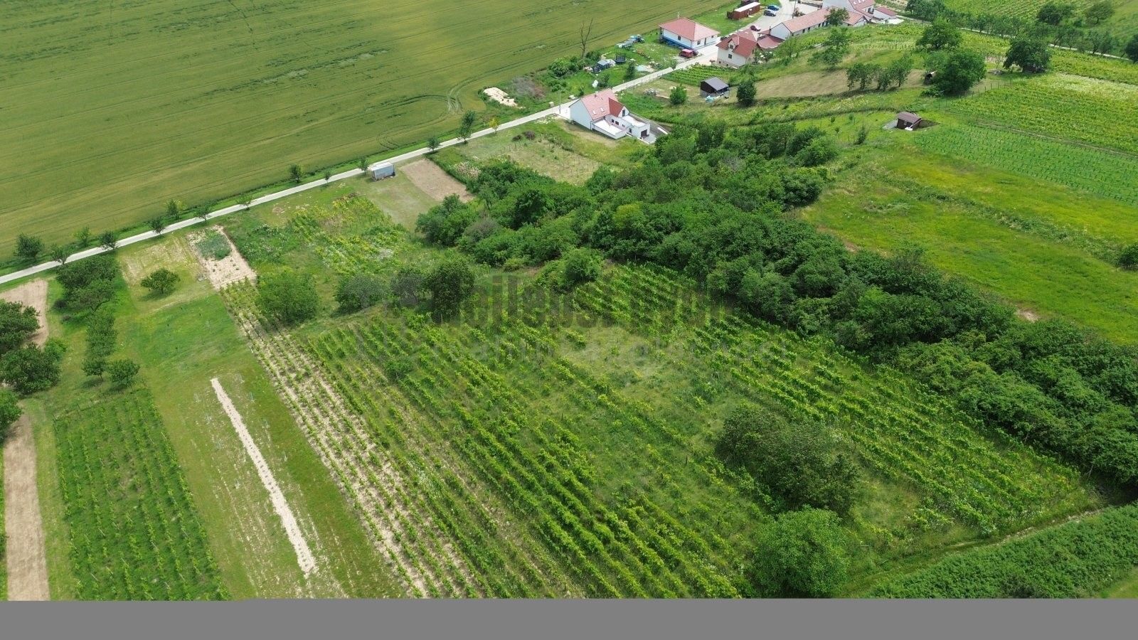Prodej pozemek pro bydlení - Bořetice,Bořetice, 3 395 m²