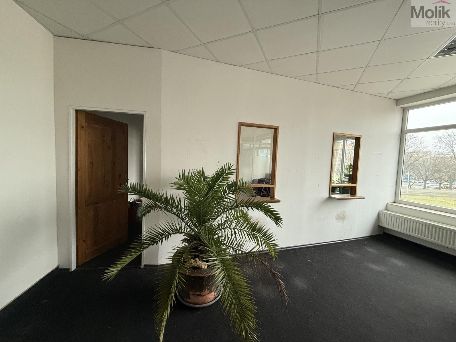Obchodní prostory · 41 m² · Moskevská, Most - 3