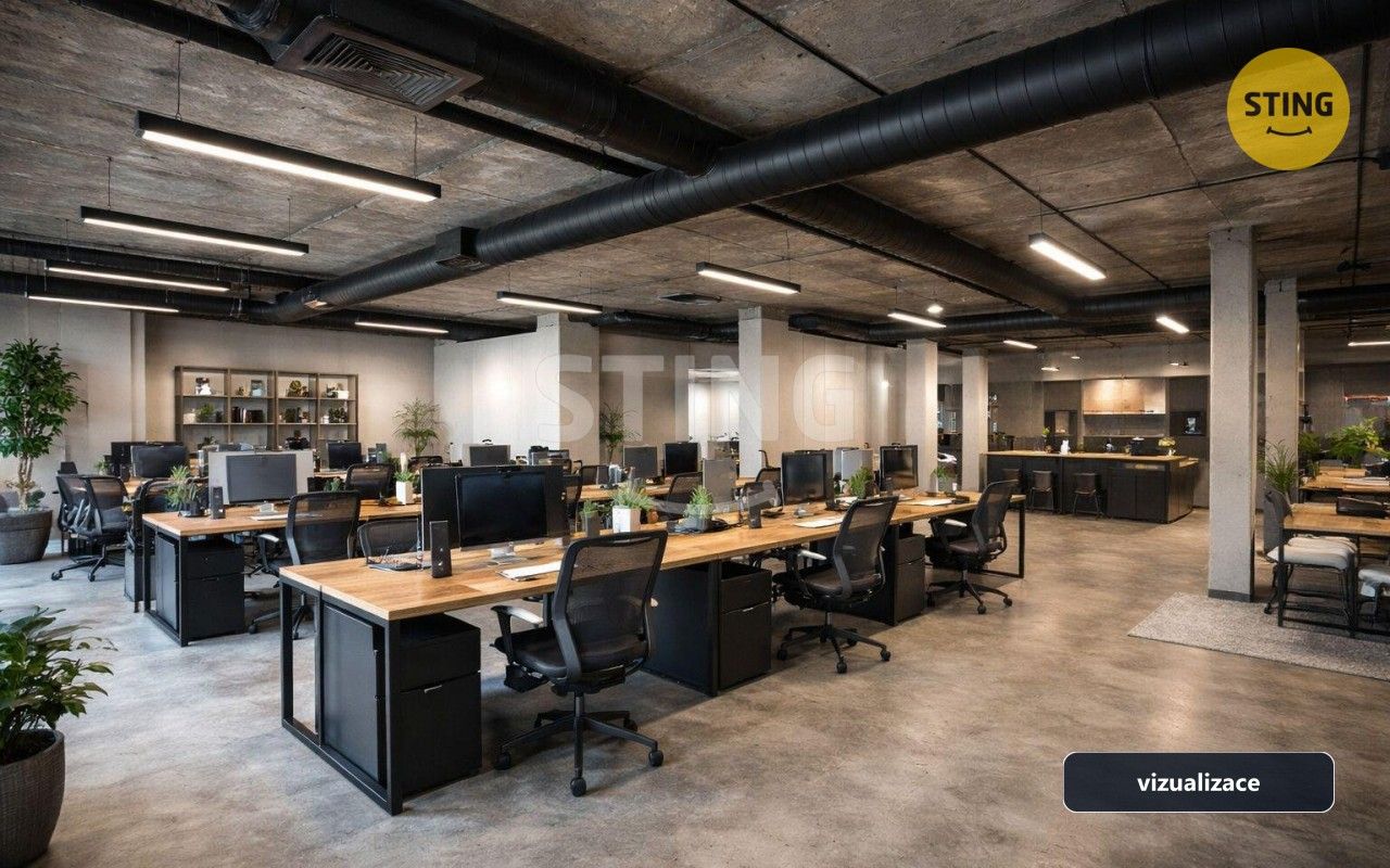 Obchodní prostory, Denisova, Ostrava, 220 m² - 2