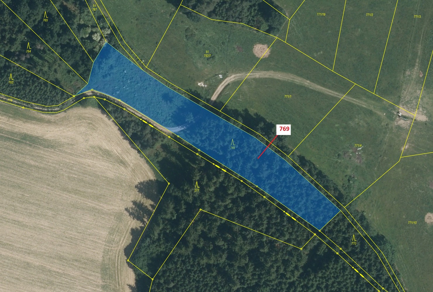 Lesy, Zvěstov - 2