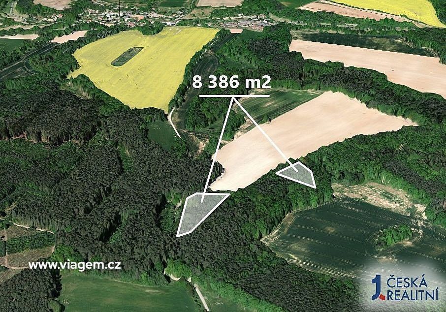 Prodej les - Snědovice, okres Litoměřice, Ústecký kraj - 2