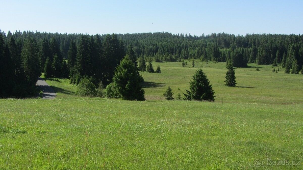 Pozemky pro bydlení, Sokolov, 356 01 - 1