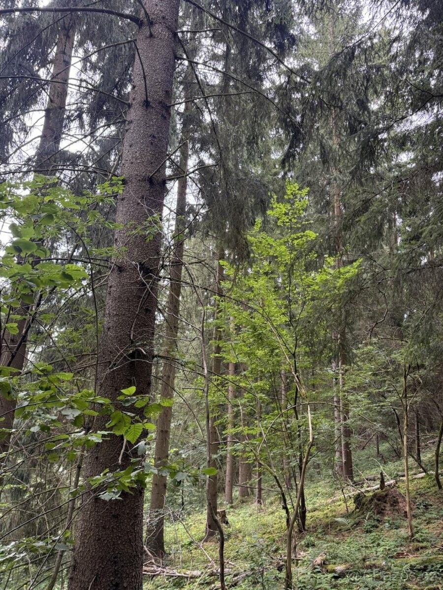Pozemky pro bydlení, Všelibice, 463 48 - 1