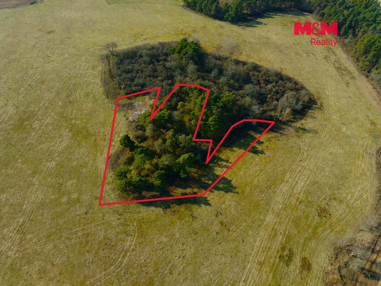 Prodej zahrada - Kladruby - Vrbice u Stříbra, okres Tachov, Plzeňský kraj - 2