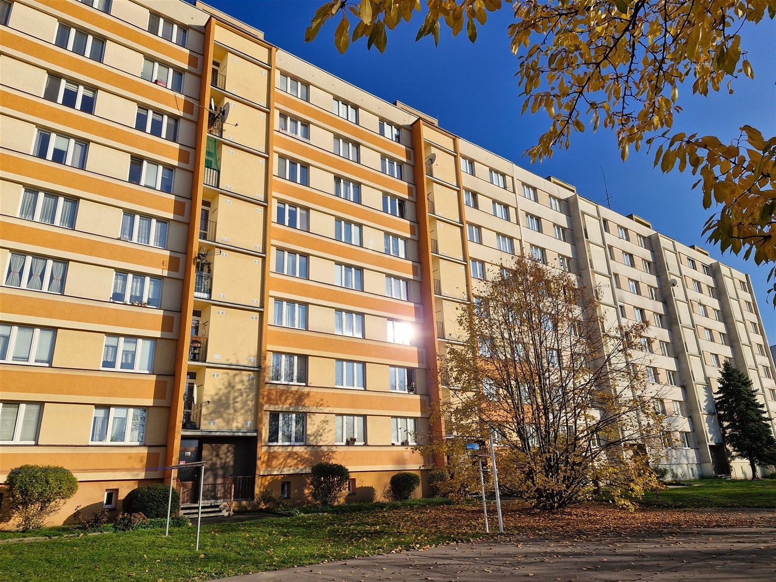 2+1, Svojsíkova, Ústí nad Labem, 50 m²