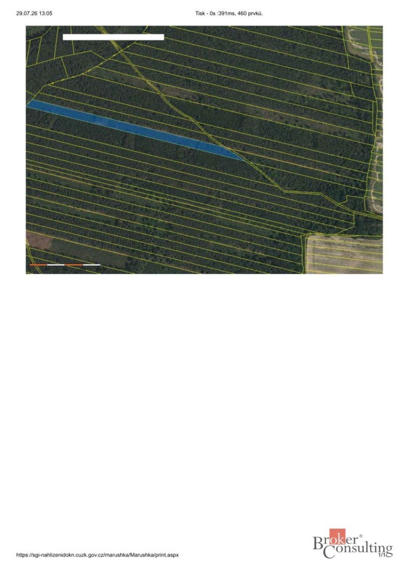 Les · 32 388 m² · Břilice, Třeboň - 3