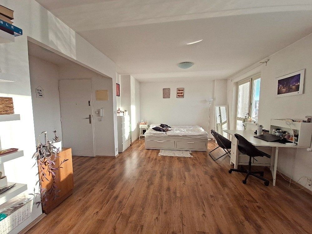 1+kk, Praha - Vinohrady, okres Praha 3, Hlavní město Praha, 46 m² - 2