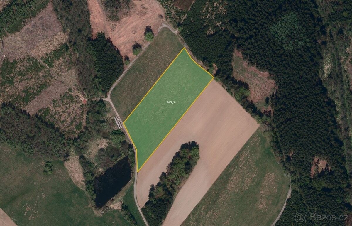 Pozemky pro bydlení, Telč, 588 56