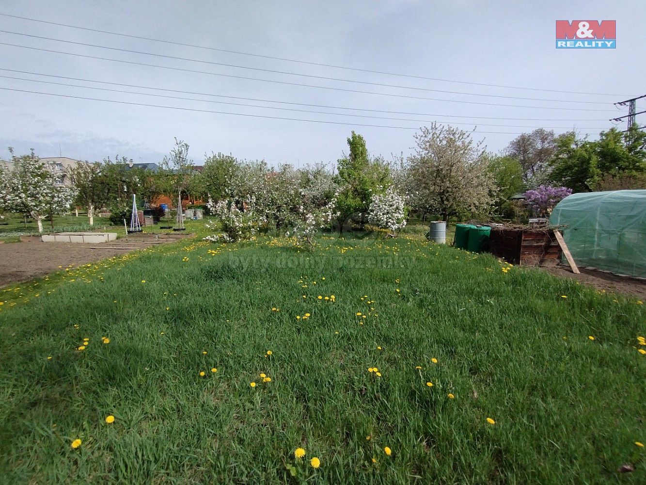 Zahrada · Šenov u Nového Jičína, okres Nový Jičín, Moravskoslezský kraj - 3