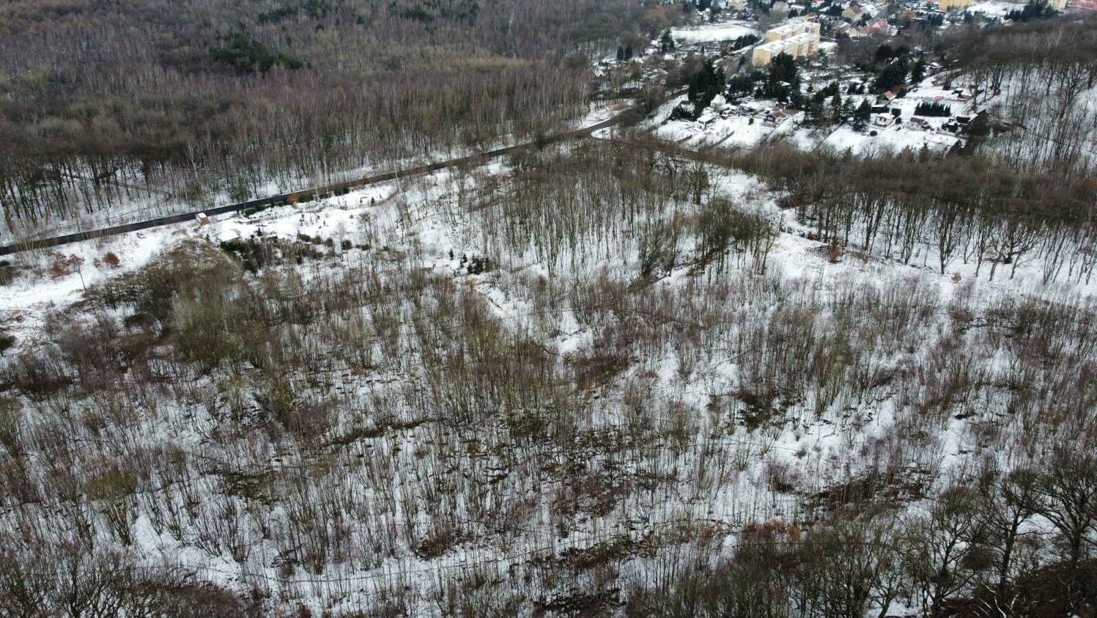 Prodej pozemek pro bydlení - Podkrušnohorská  , Lom Loučná, 40 513 m² - 5