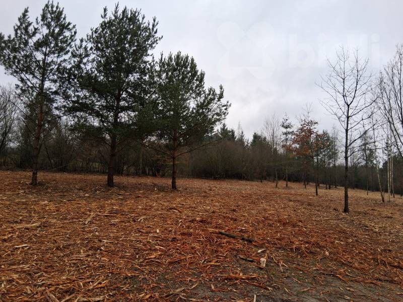 Prodej louka - Rakovecká , Brno