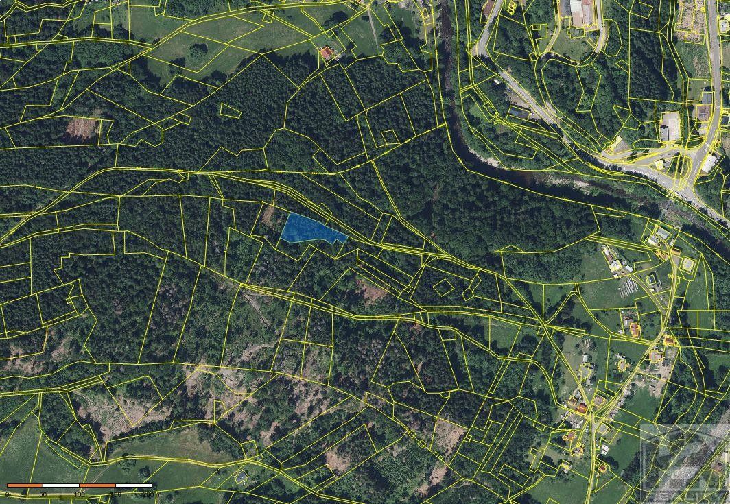 Les · Paseky nad Jizerou - 3