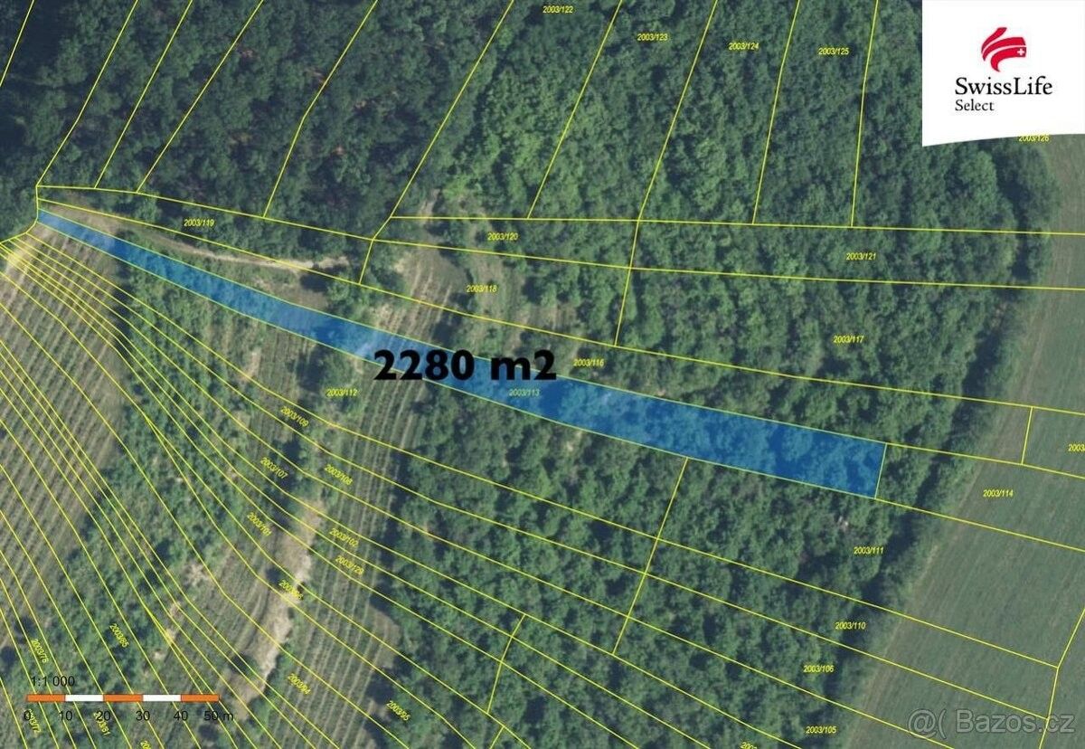 Prodej pozemek pro bydlení - Brumovice na Moravě, 691 11