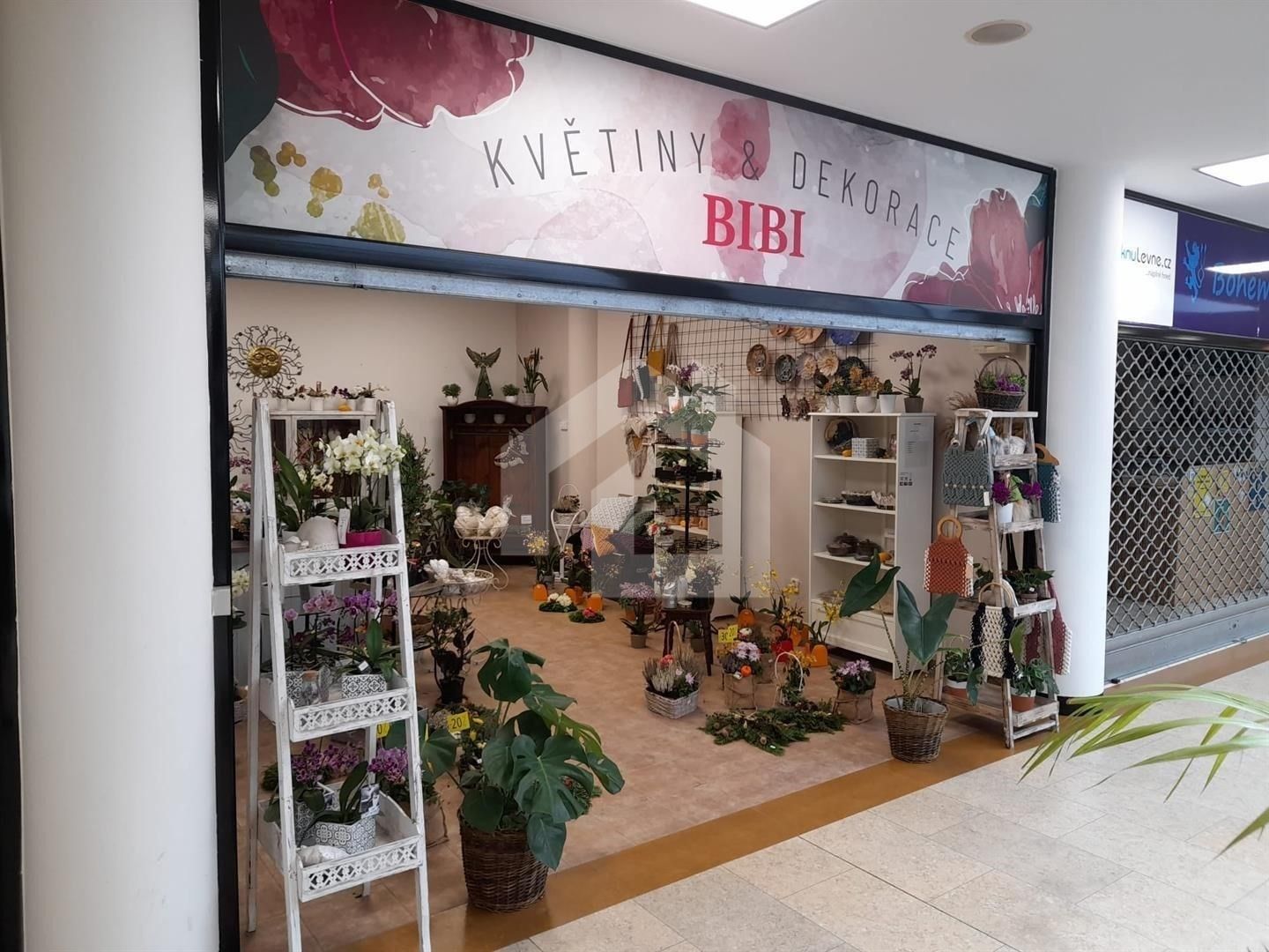 Obchodní prostory, nám. Přemysla Otakara II.  , České Budějovice, 30 m²