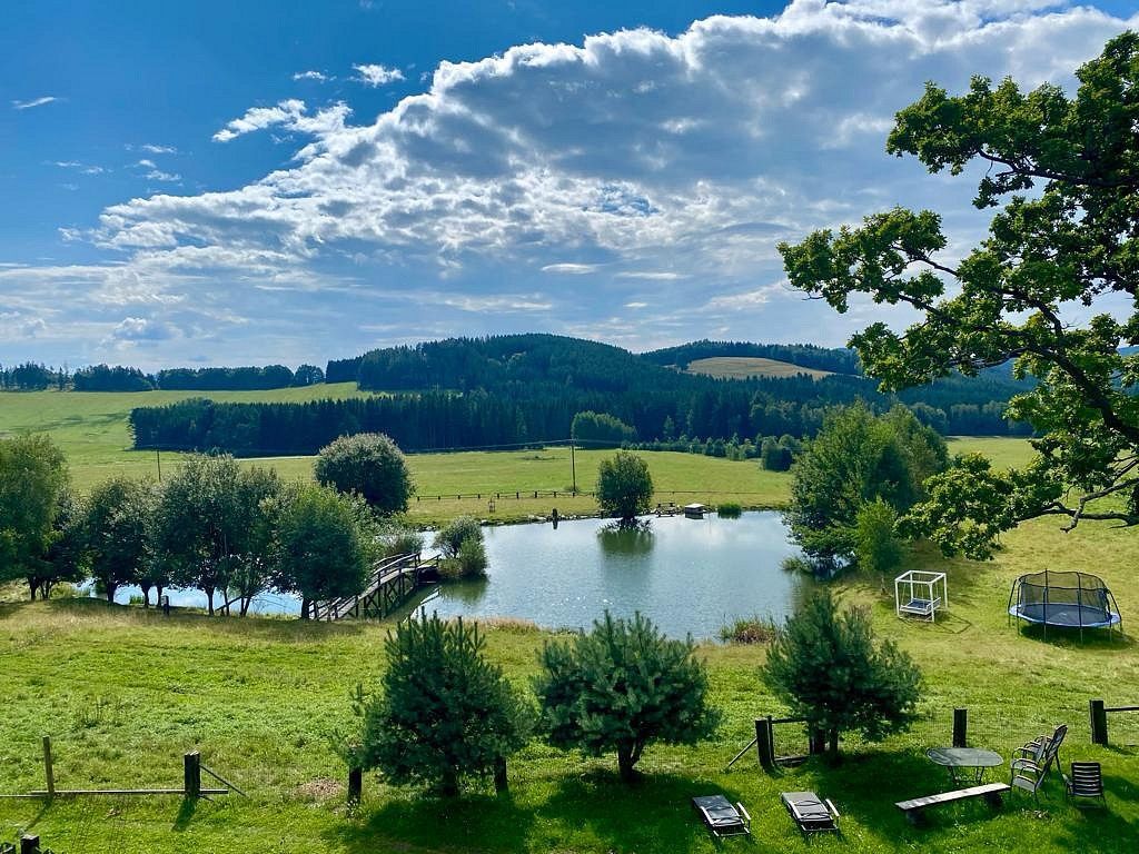 Prodej rodinný dům - Malšín - Ostrov, okres Český Krumlov, 472 m² - 5