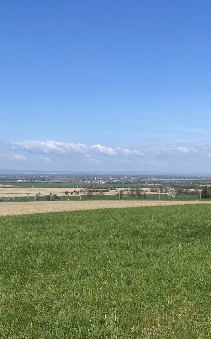 Zemědělské pozemky, Vojkovice, 63 782 m²