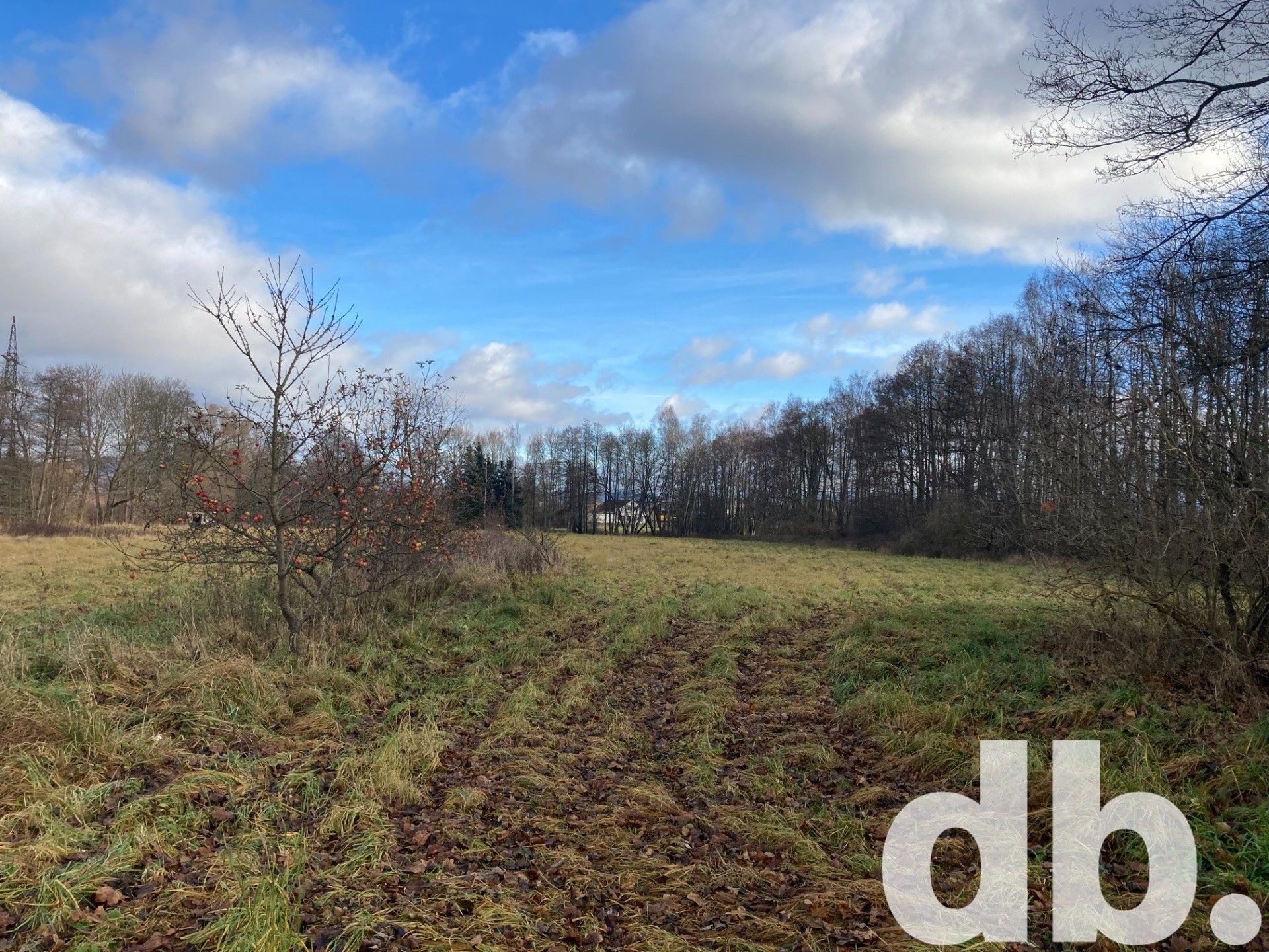 Zemědělské pozemky, Kfely, Ostrov