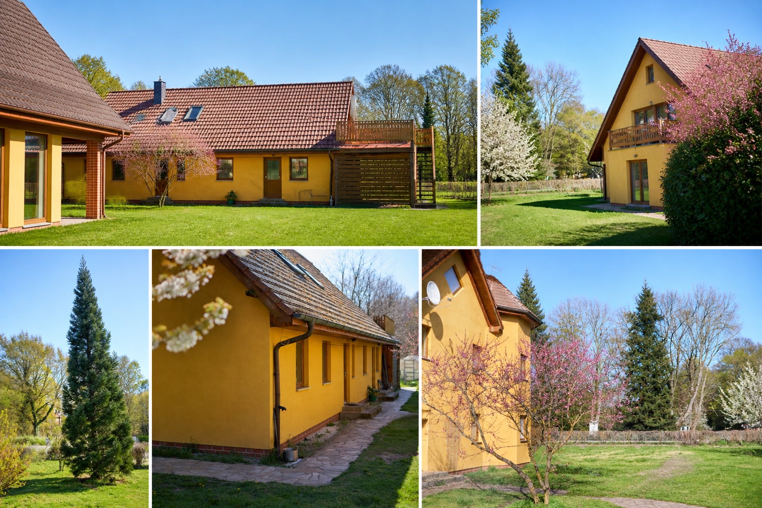 Prodej rodinný dům - , Braniborsko, 280 m² - 5