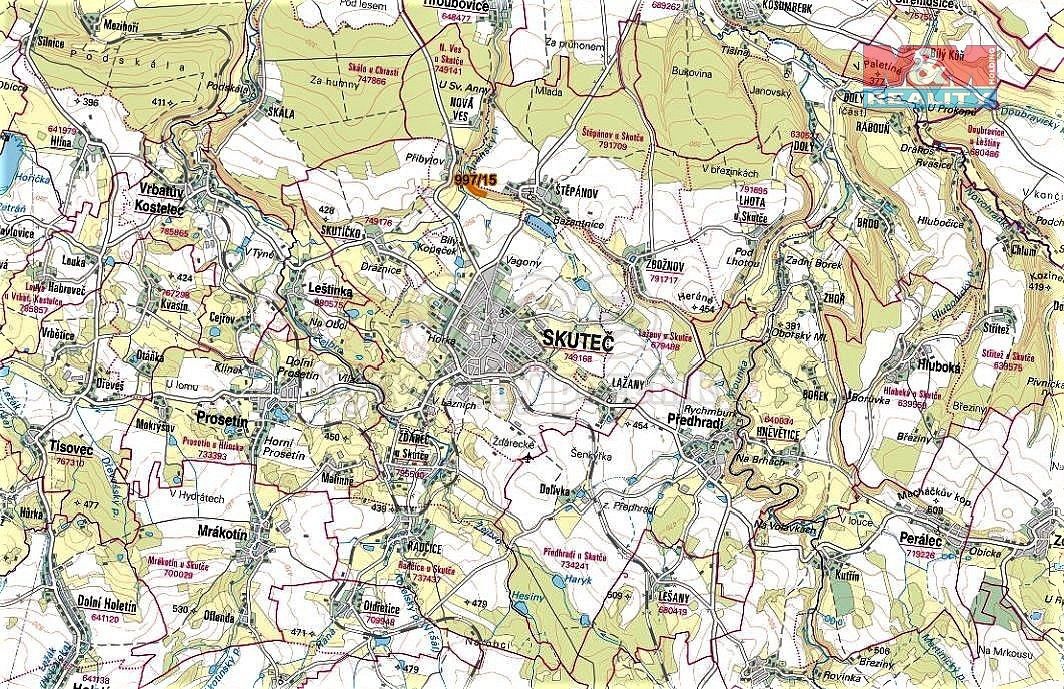Les · Skuteč, okres Chrudim, Pardubický kraj - 3