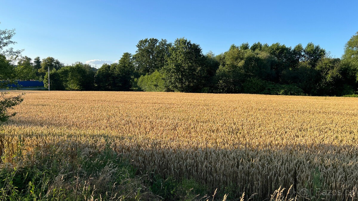 Pozemek pro bydlení · Petrovice u Karviné, 735 72 - 3