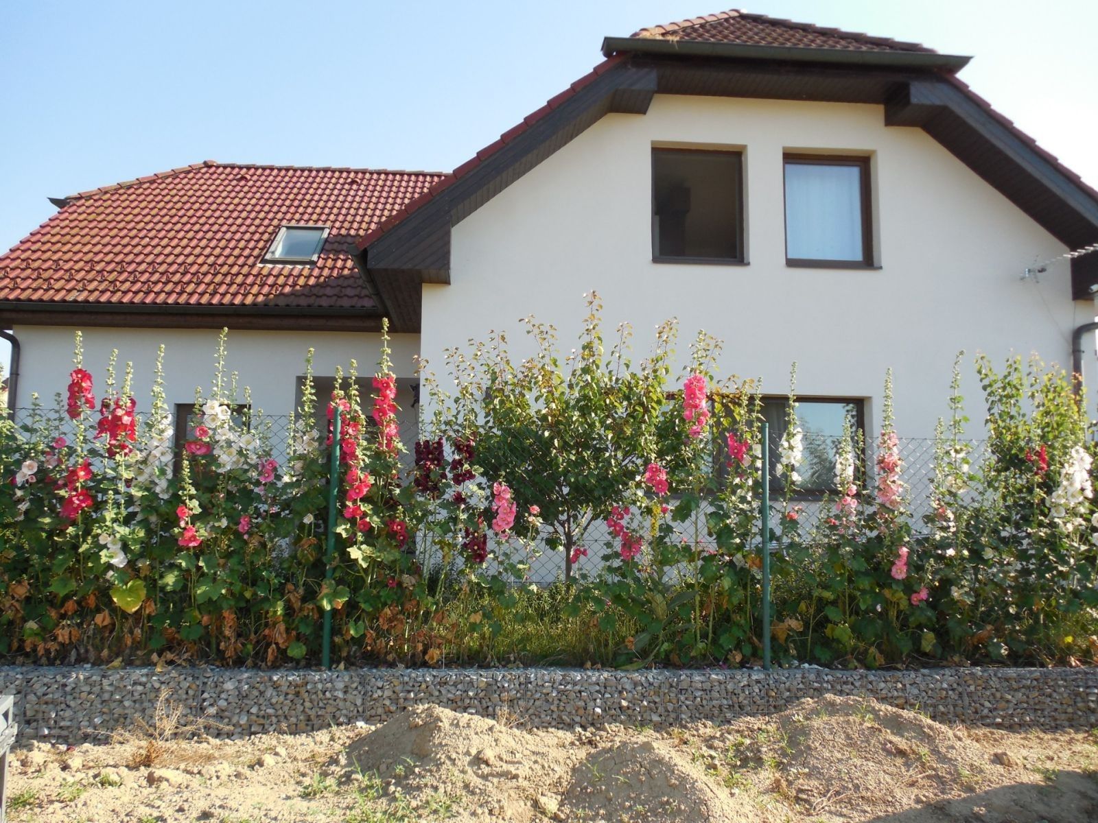 Rodinné domy, Záhoří - Horní Záhoří u Písku, Jihočeský kraj, 217 m² - 1
