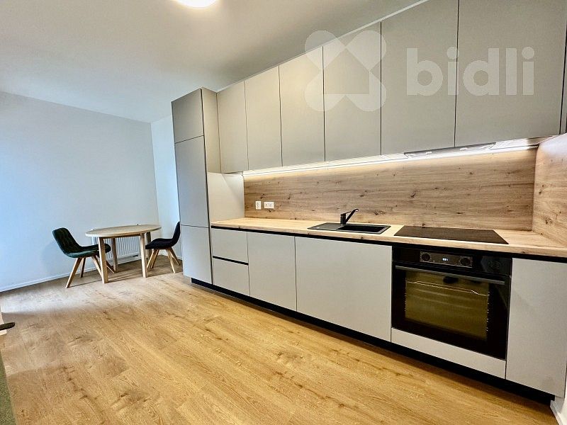 1+kk, Brno - Staré Brno, okres Brno-město, Jihomoravský kraj, 47 m² - 1