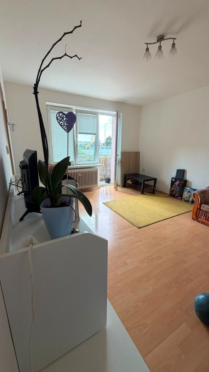 2+1, Svatopluka Čecha, Brno - Královo Pole, Jihomoravský kraj, 54 m² - 2