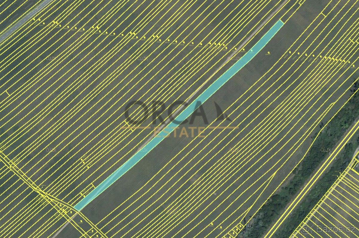 Prodej pozemek pro bydlení - Moravská Nová Ves, 691 55