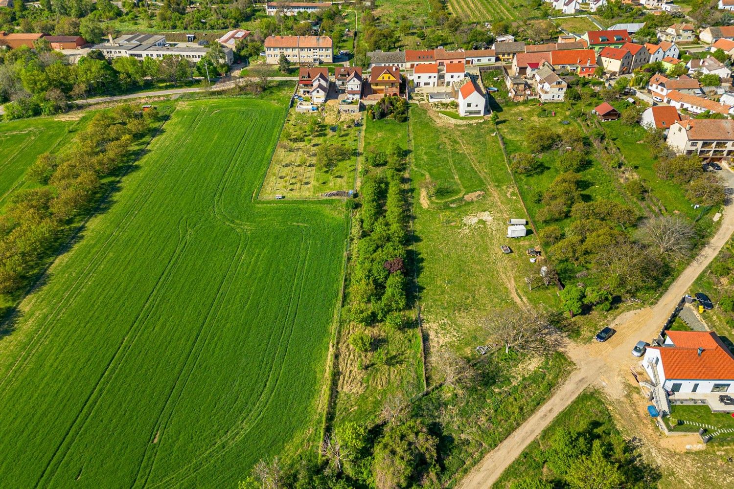 Rodinný dům · 420 m² · Pavlov, okres Břeclav - 3