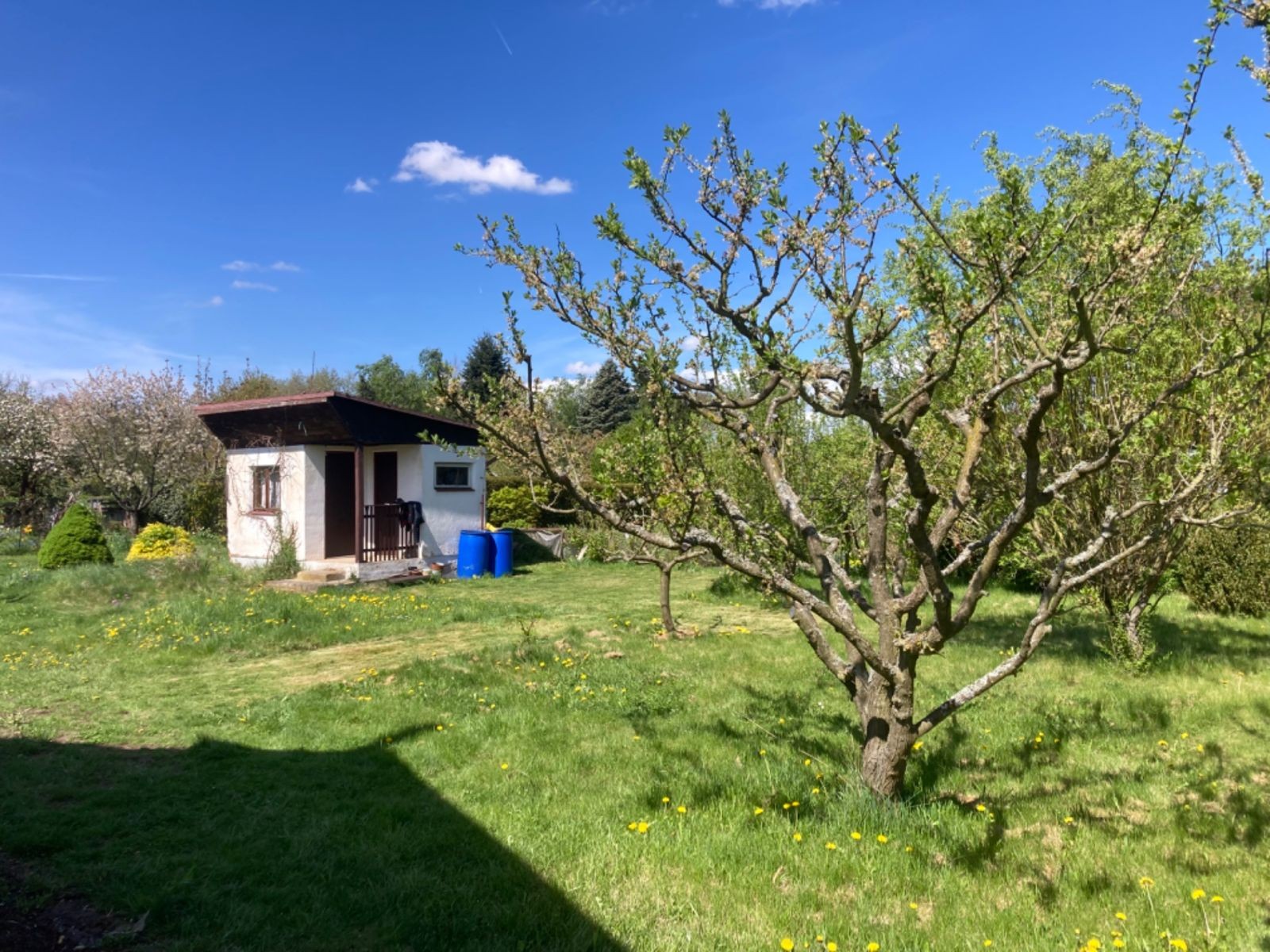 Zahrada, 378 m²