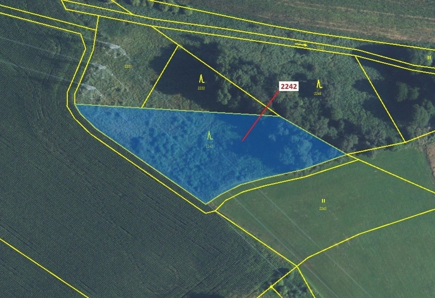 Prodej les - Trpík, okres Ústí nad Orlicí, Pardubický kraj - 2