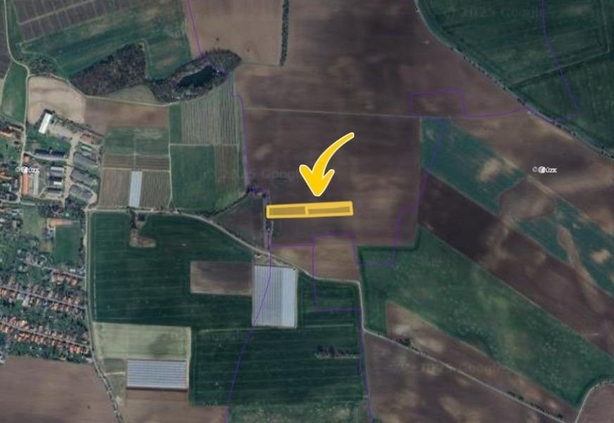 Prodej zemědělský pozemek - Černíky, 8 150 m²