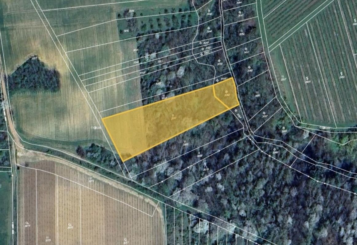 Prodej louka - Újezdec, 12 098 m²