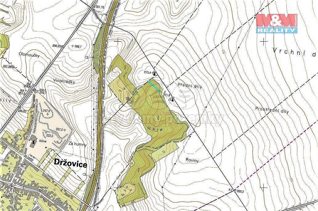 Prodej les - Držovice, okres Prostějov, Olomoucký kraj - 2
