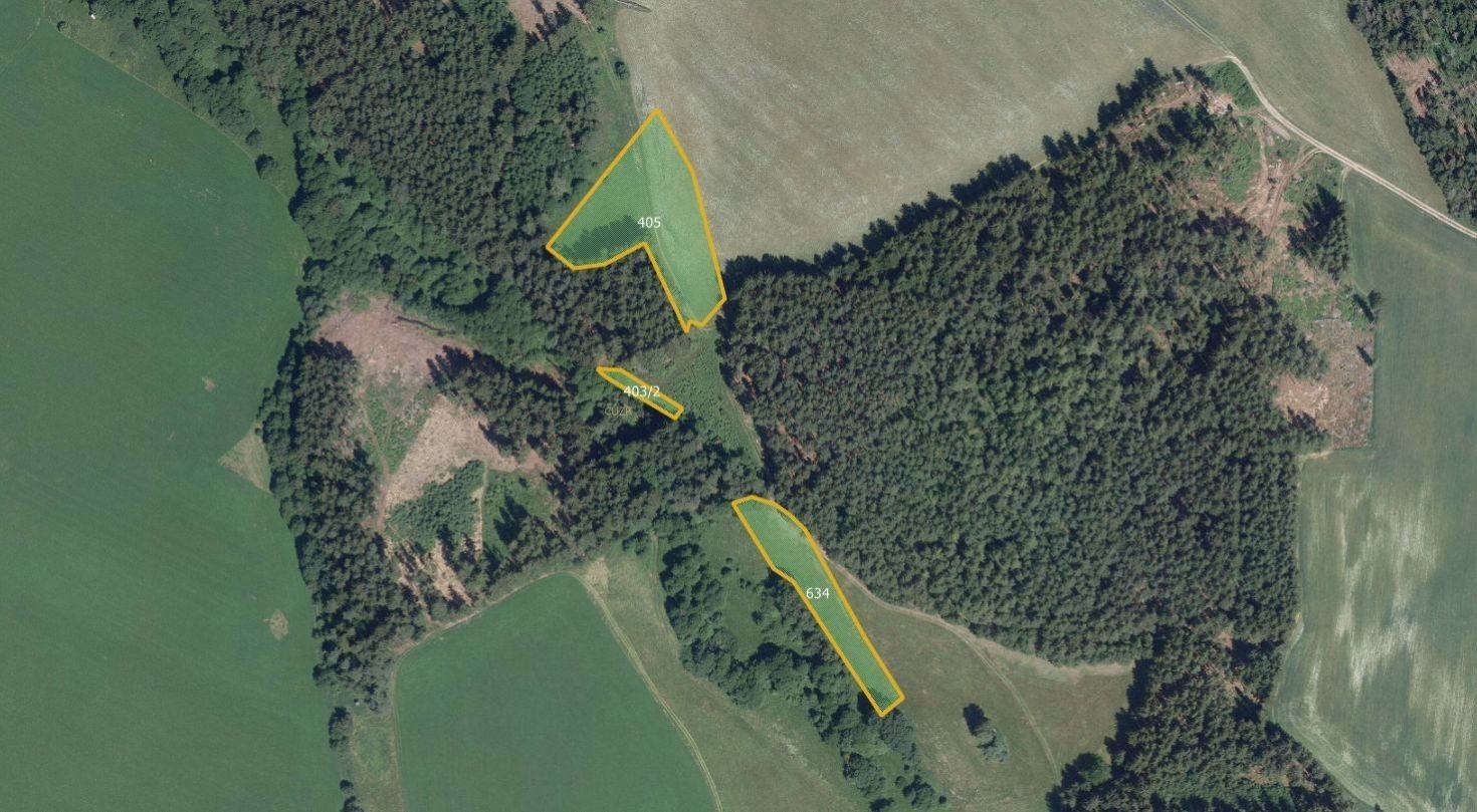 Prodej louka - Chlum, Hlinsko