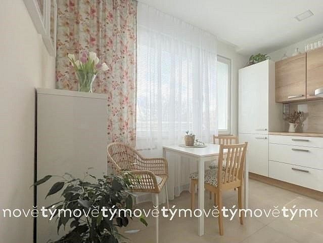 Byt 1+1 · 35 m² · V Lukách, Heřmanův Městec, okres Chrudim - 4