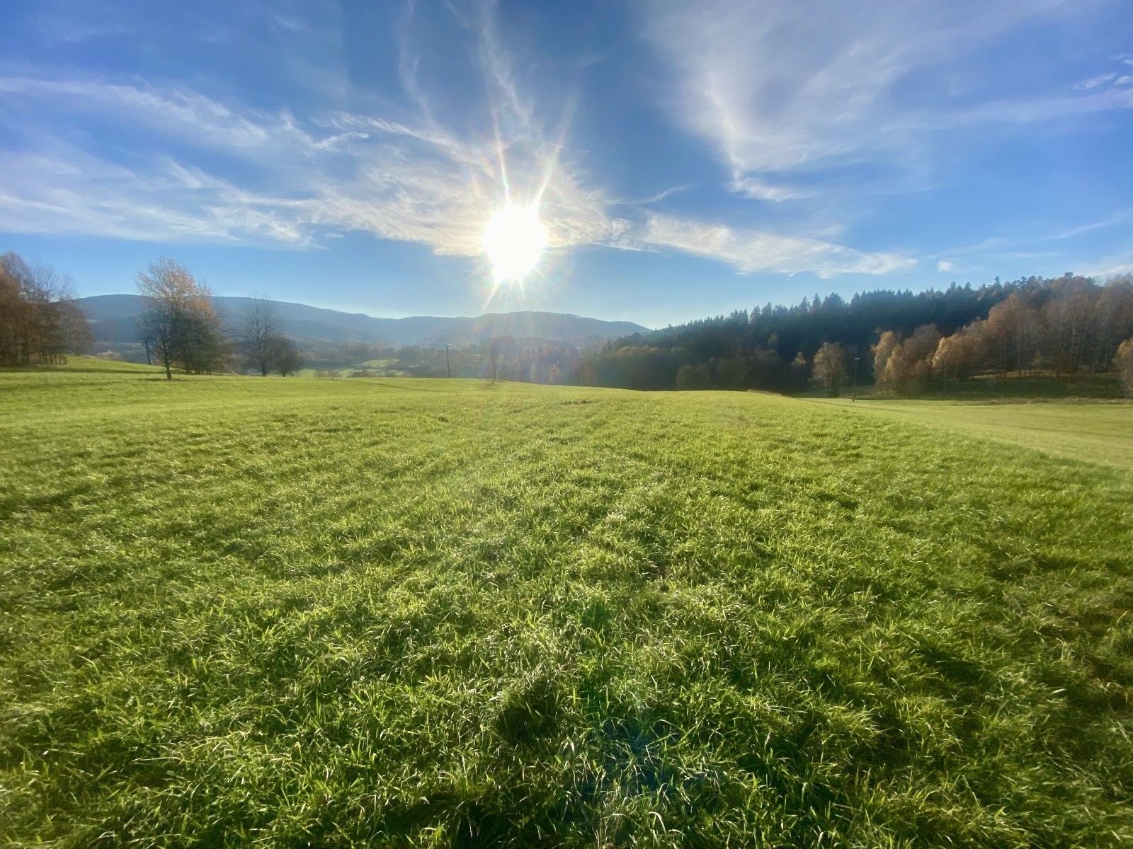 Louky, Mníšek, 33 698 m²