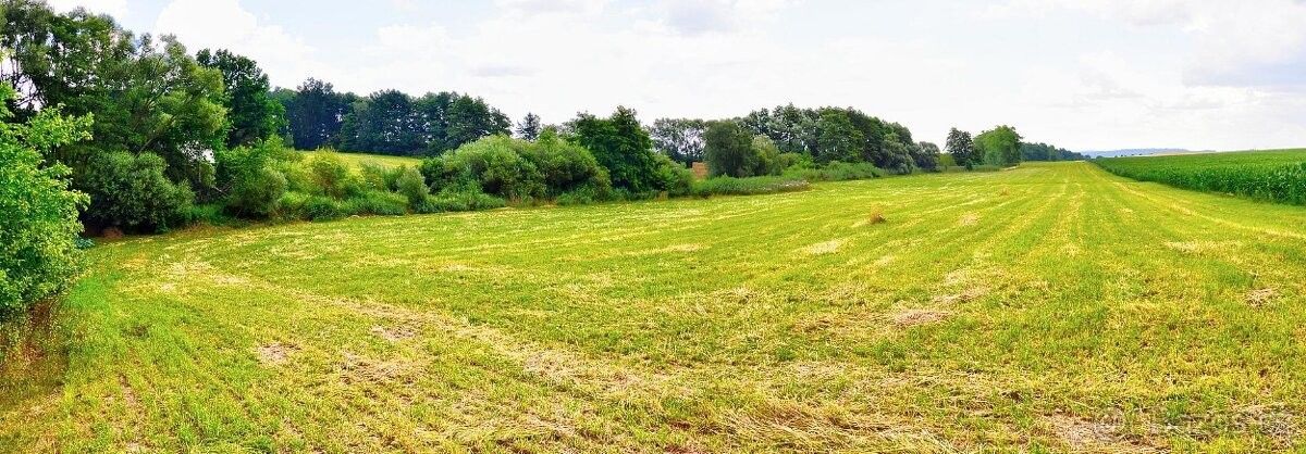 Prodej pozemek pro bydlení - Stařeč, 675 22