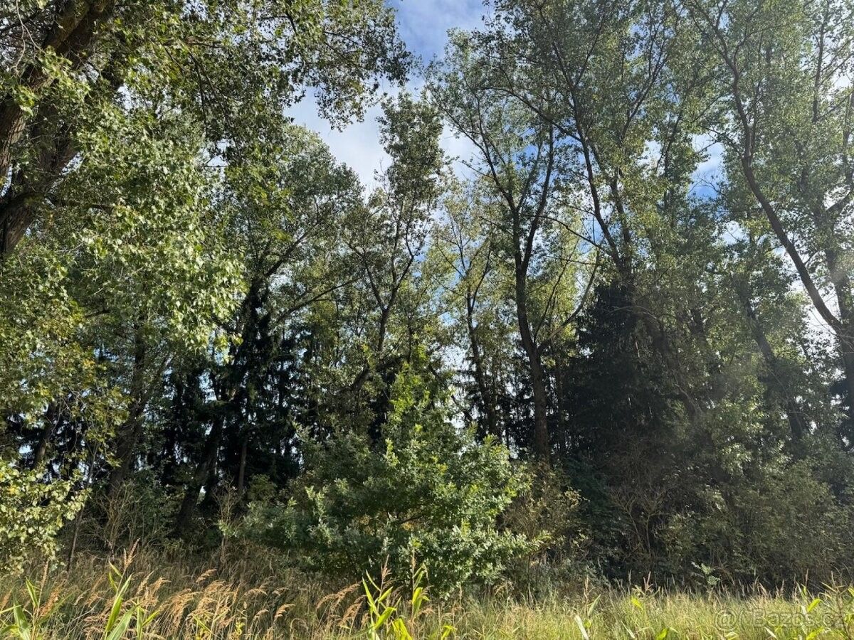 Prodej pozemek pro bydlení - Nová Paka, 509 01