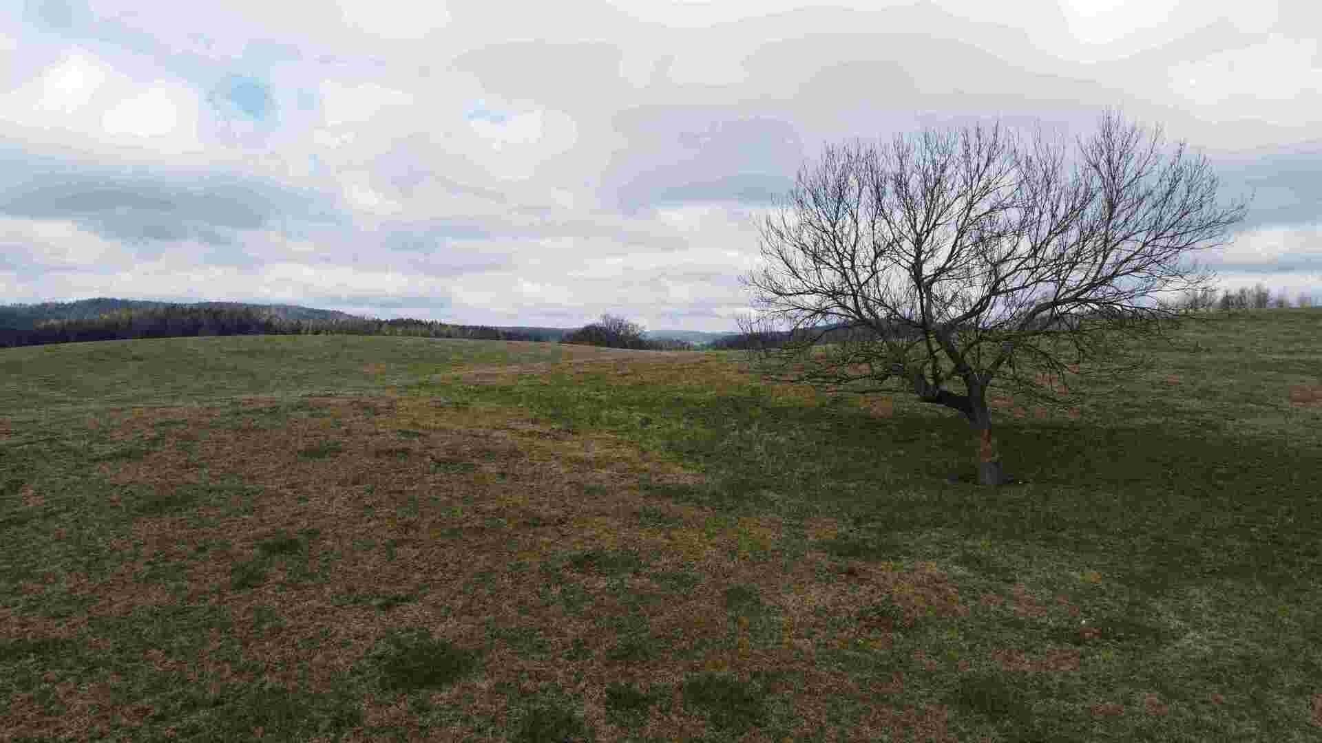 Pozemek · 5 185 m² · Teplice nad Metují - 4