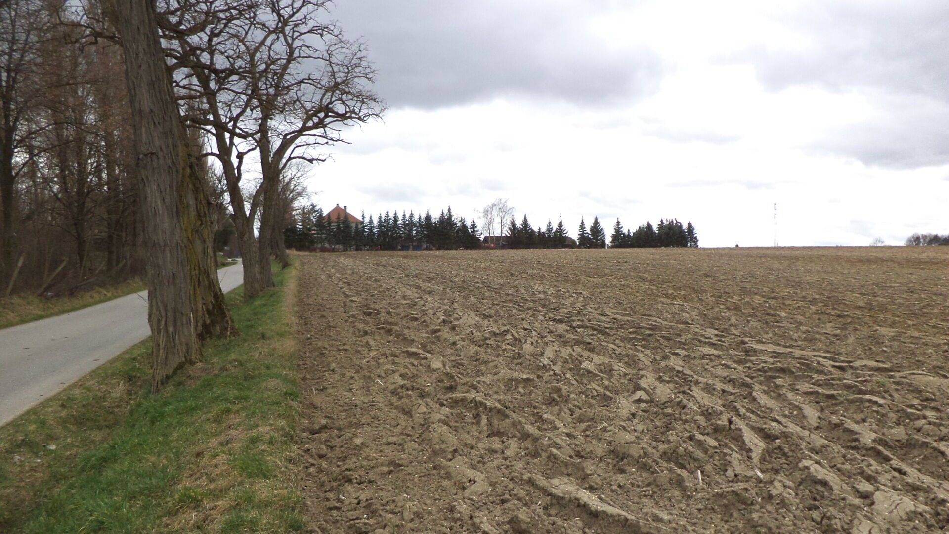 Prodej komerční pozemek - Cehnice, 9 m²