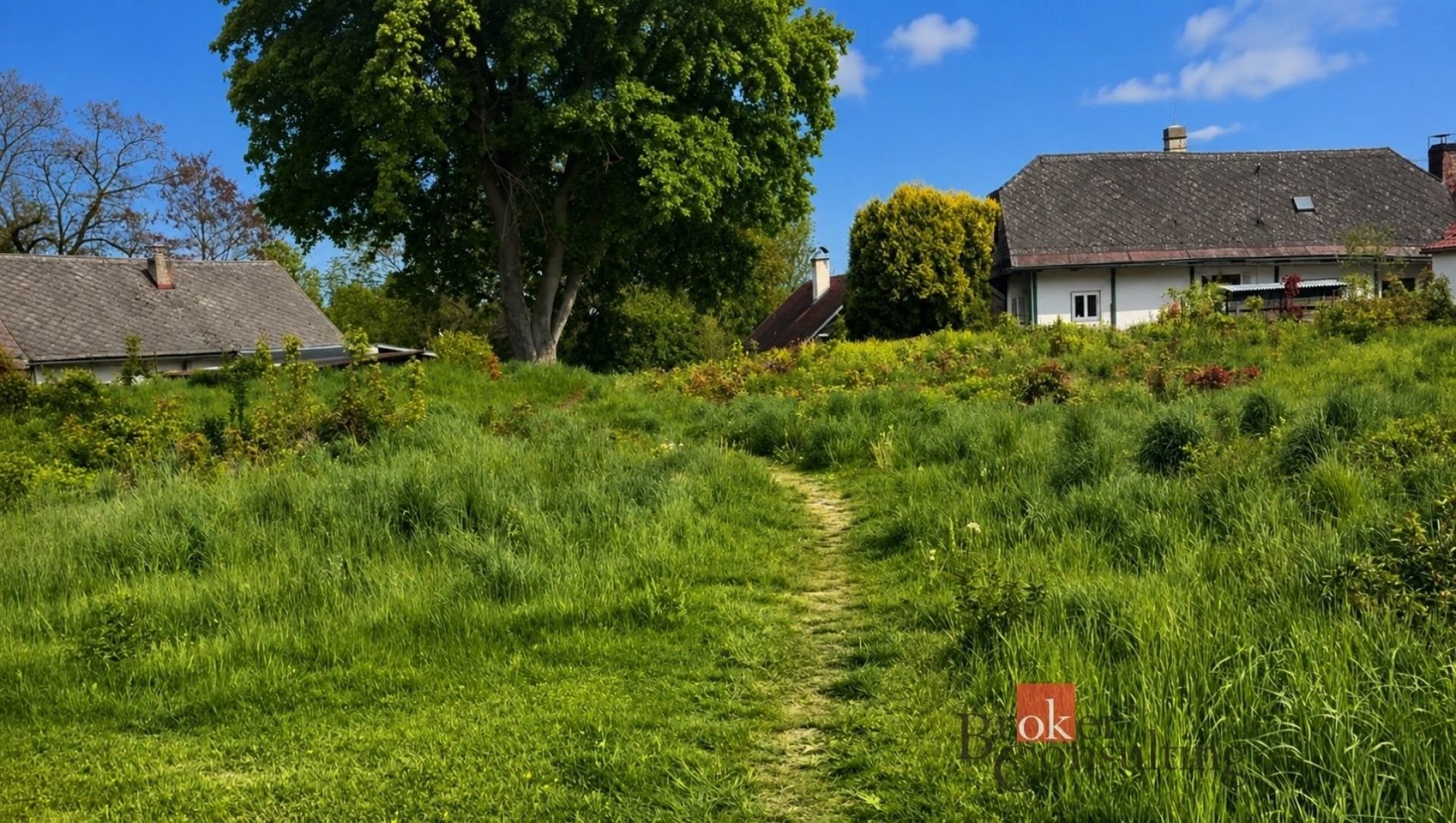 Prodej pozemek pro bydlení - Široká, Častolovice, 2 994 m² - 5
